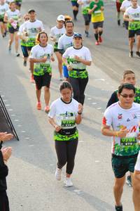 BIB: 190
                            <button type="button" onclick="openModal(3537597)" class="btn btn-primary btn-sm float-right btn-popup" data-toggle="modal" data-target=".modal-high-quality">
                        <i class="fas fa-shopping-cart"></i> Add to Cart
                    </button>
                                            <button type="button" onclick="isThisMe(3537597, true)" class="btn btn-success btn-sm float-right btn-popup btn-isme hidden" data-toggle="tooltip" data-placement="bottom" title="นี่คือรูปของคุณใช่ไหม คลิกที่นี่เพื่อเอาเข้าอัลบั้ม">
                        <i class="fas fa-plus"></i> Add to album
                    </button>
                    <button type="button" onclick="isThisMe(3537597, false)" class="btn btn-warning btn-sm float-right btn-popup btn-isnotme hidden">
                        <i class="fas fa-ban"></i> Remove from album
                    </button>